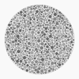 Preview of plate gray_protan_s006_n23