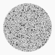 Preview of plate gray_protan_s006_n95