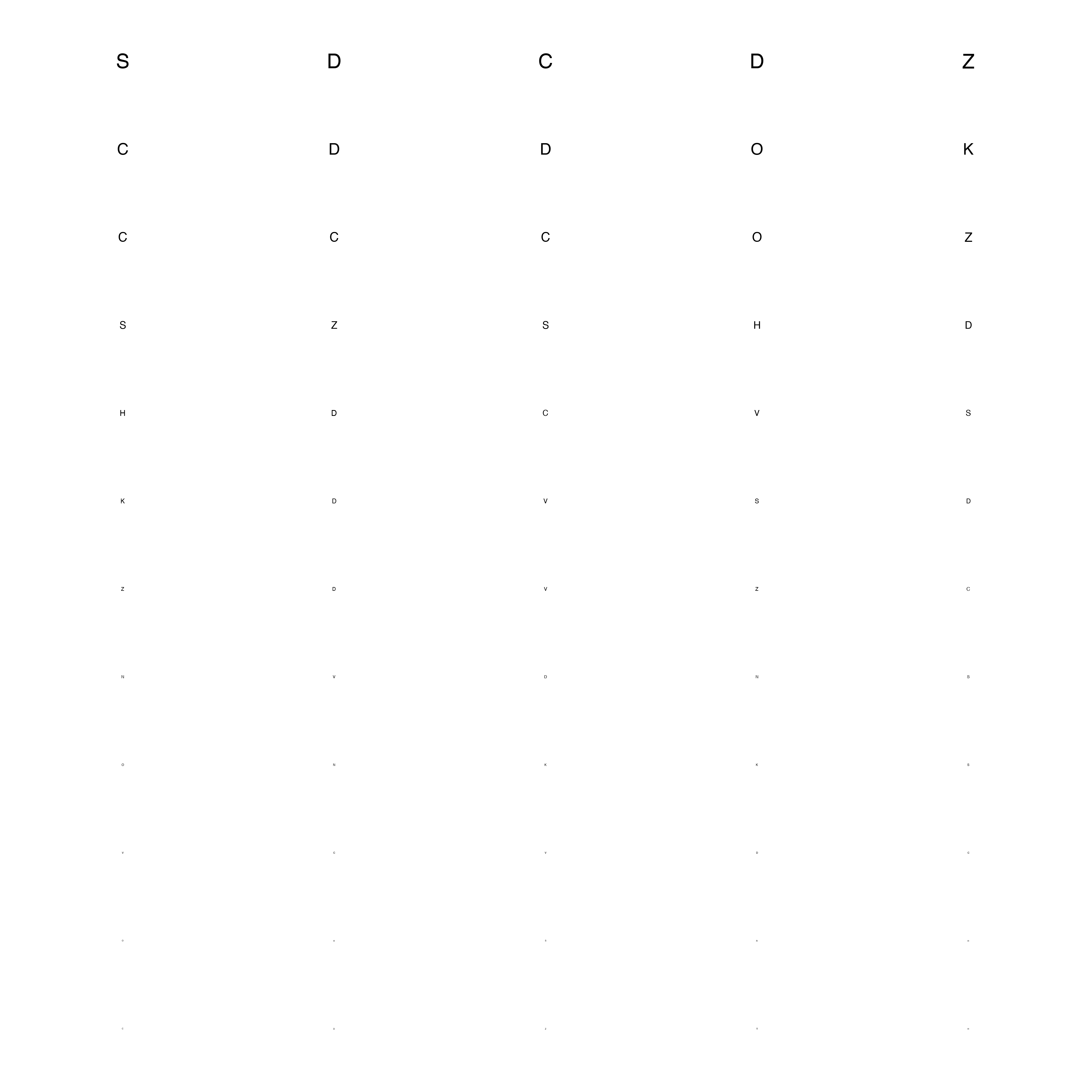 Visual Acuity Test Chart